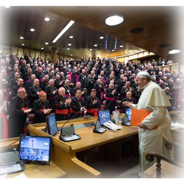 Il Sinodo si interroga