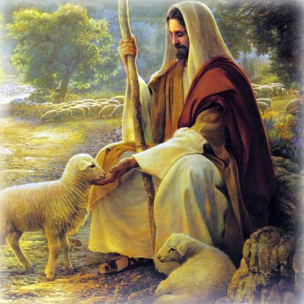IV Domenica di Pasqua