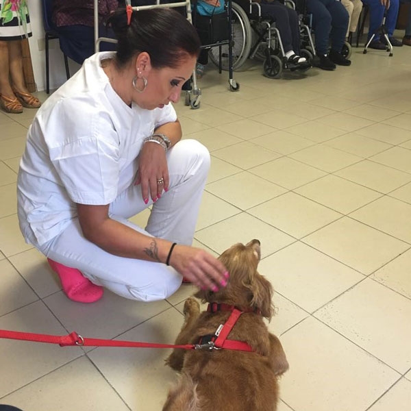 Savignano Irpino – Animali terapeutici al Centro Don Orione