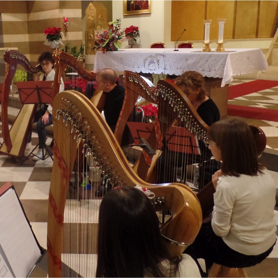 Bergamo – Concerto di arpa celtica