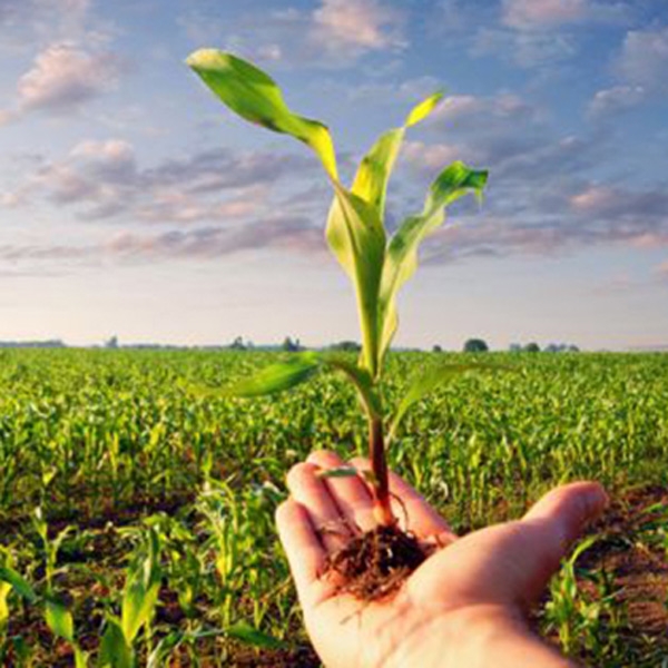 Ercolano – Un anno di agricoltura sociale