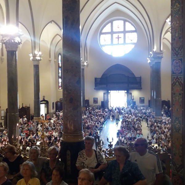 Seregno – L’equipe di gestione del PCDO alla festa della Madonna della Guardia