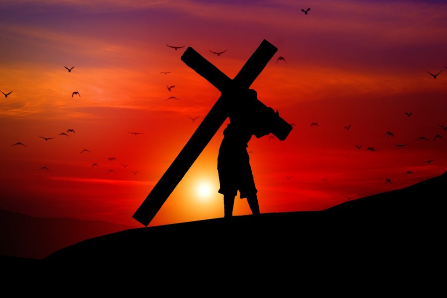 XXII Domenica del Tempo Ordinario – La croce, segno di un amore donato