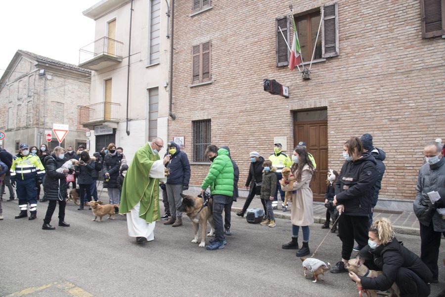 Pontecurone – La benedizione degli animali