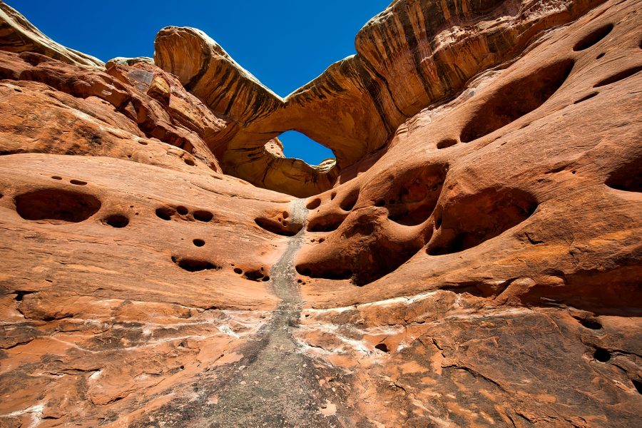 I Domenica di Quaresima – Nel deserto, alla ricerca di Dio