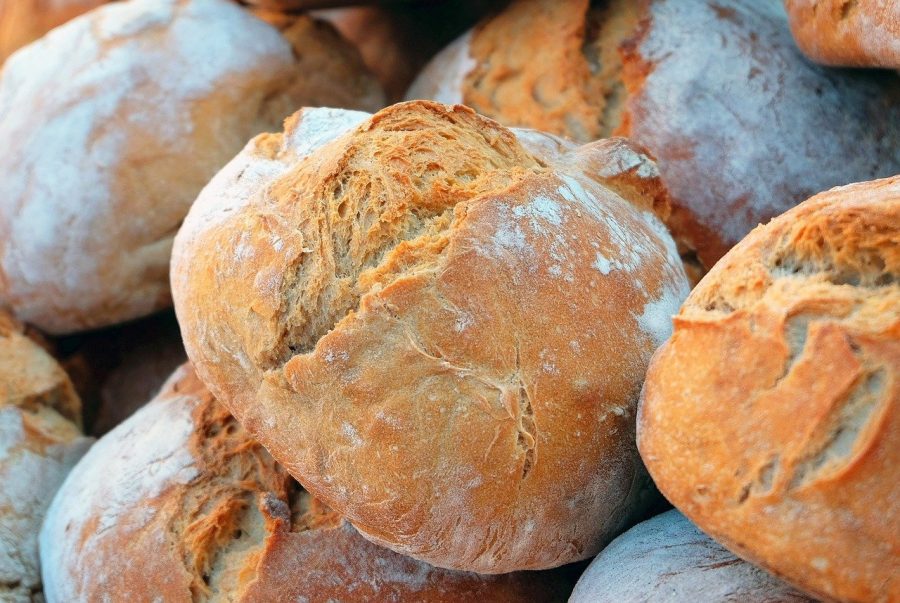 XVIII Domenica del Tempo Ordinario – Il pane vero