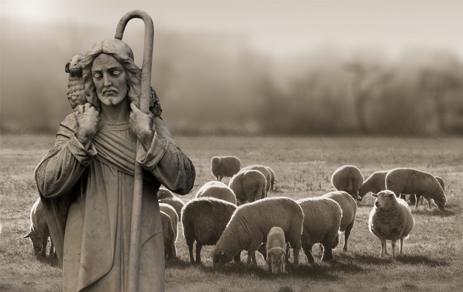 IV Domenica di Pasqua – Ascoltiamo e seguiamo Gesà, il Buon Pastore