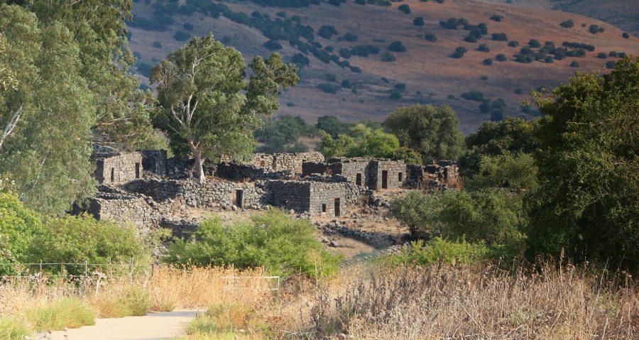 XXIII Domenica del Tempo ordinario – Accogliamo Gesù nel villaggio del nostro cuore