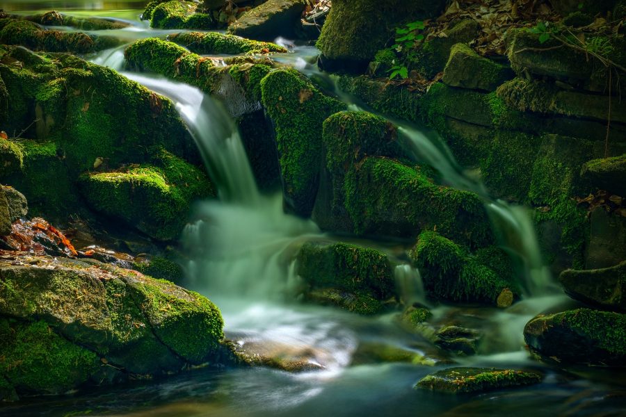 III Domenica di Quaresima – Signore, dacci da bere la tua acqua