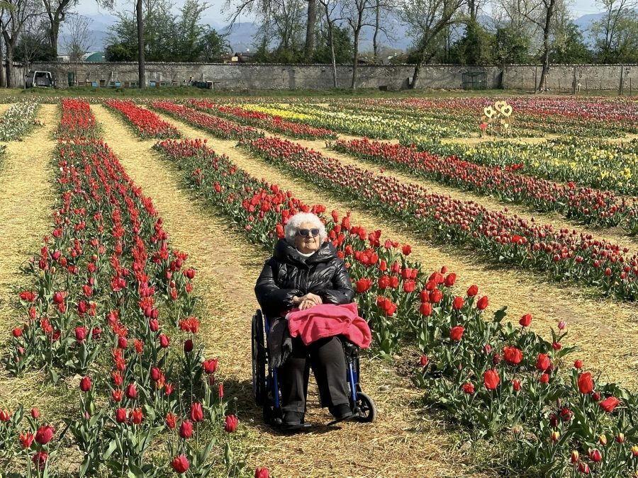 Bergamo – Tra mille tulipani