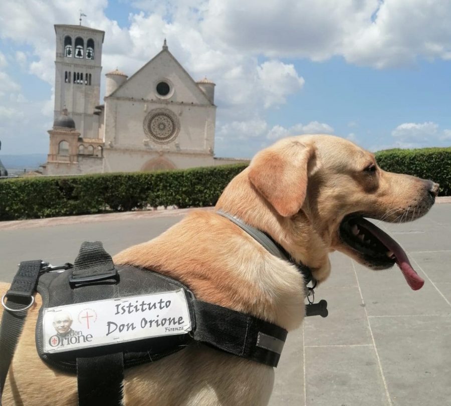 Firenze – In preghiera con San Francesco e Carlo Acutis