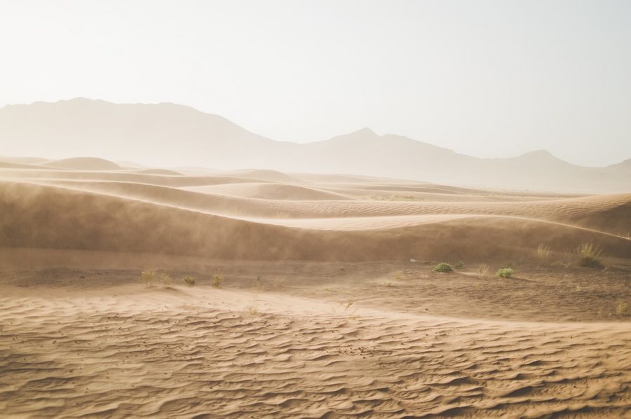 I Domenica di Quaresima – Nel deserto
