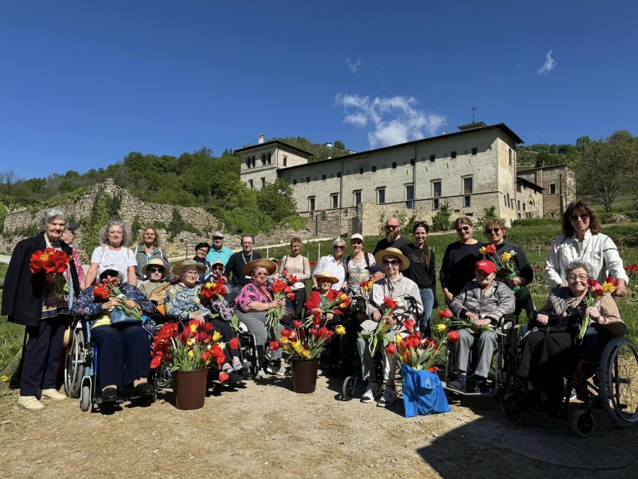 Bergamo – Parlano d’amore i tulipan…