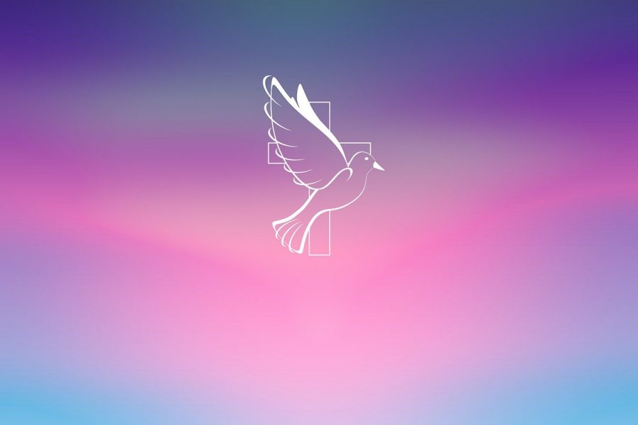 VI Domenica di Pasqua – Lo Spirito Santo per essere fedeli e nuovi