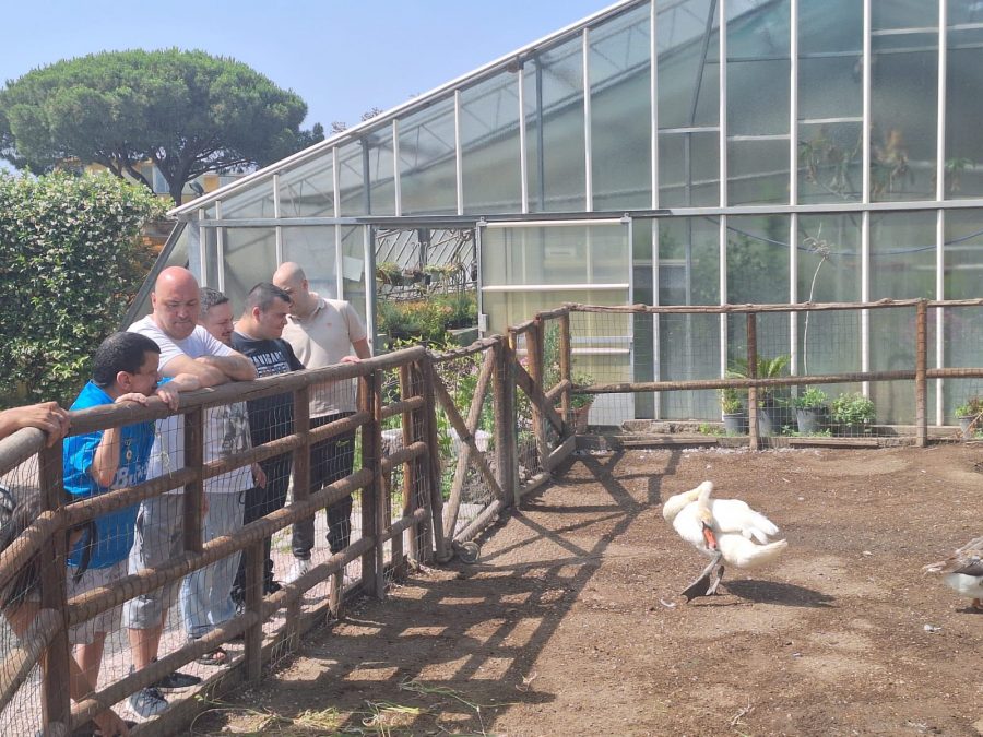 Napoli – Ercolano – Una giornata di vera fraternità