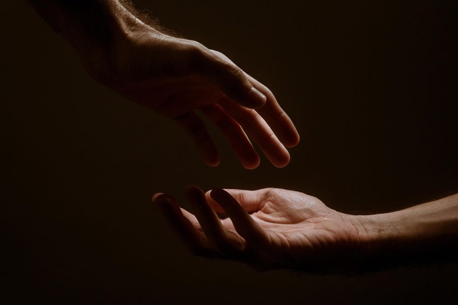 XV Domenica del Tempo Ordinario – Chi è il mio prossimo?