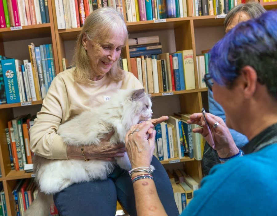 Sanremo – La Cat therapy arriva al Piccolo Cottolengo