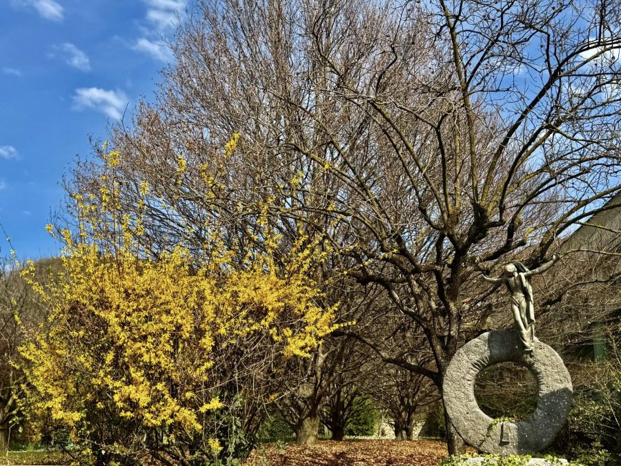 Bergamo – Fermarsi, ricordare, ripartire