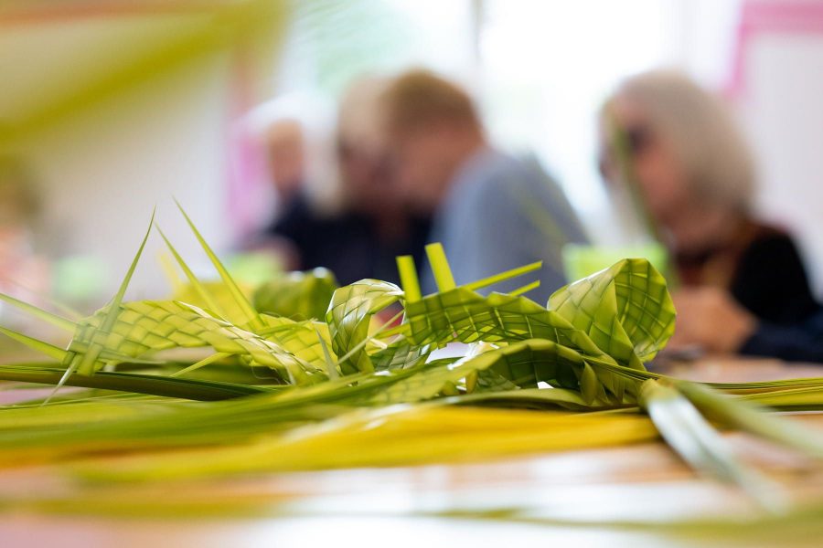 Domenica delle Palme – Un ramo di ulivo, segno di rinascita