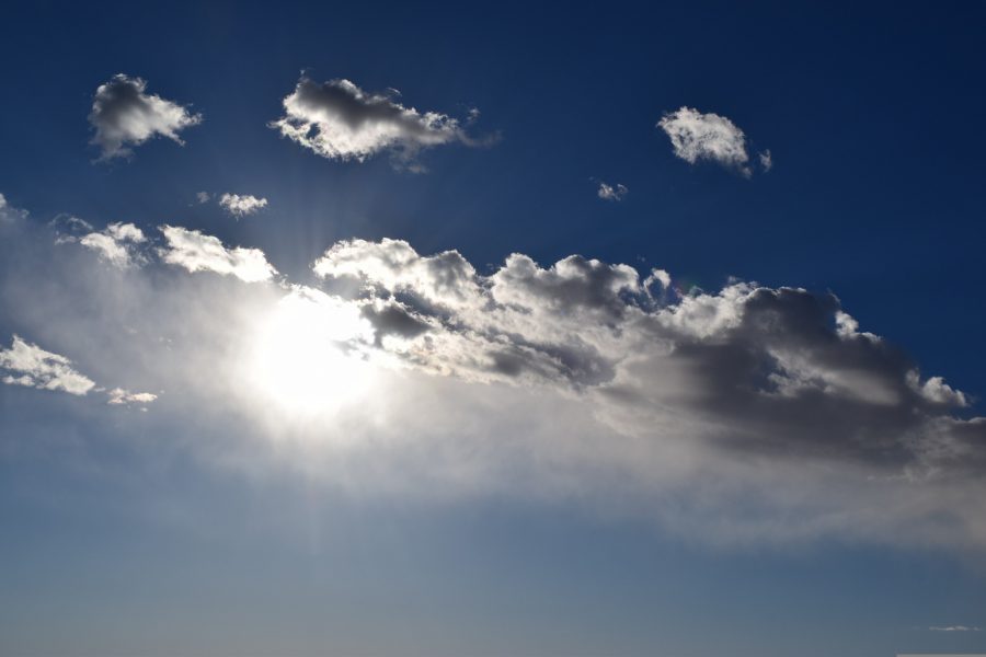 V Domenica di Quaresima – La profezia della resurrezione