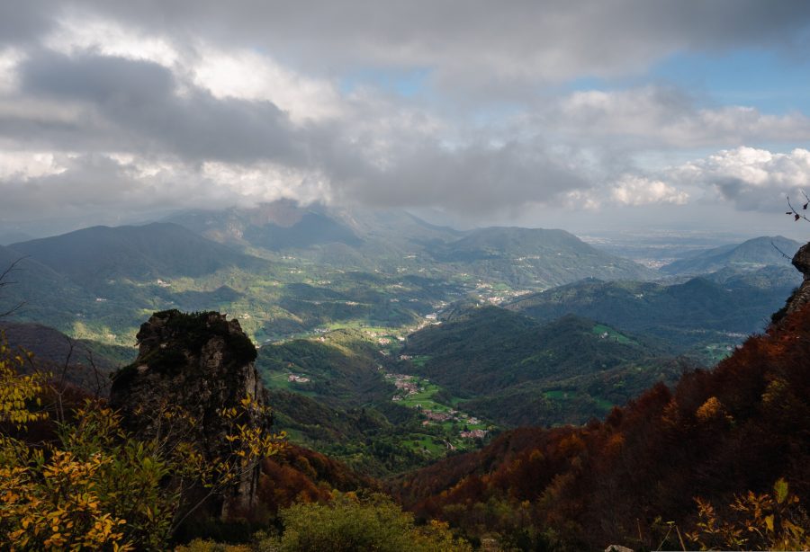 XIV Domenica del Tempo Ordinario – Venite a me