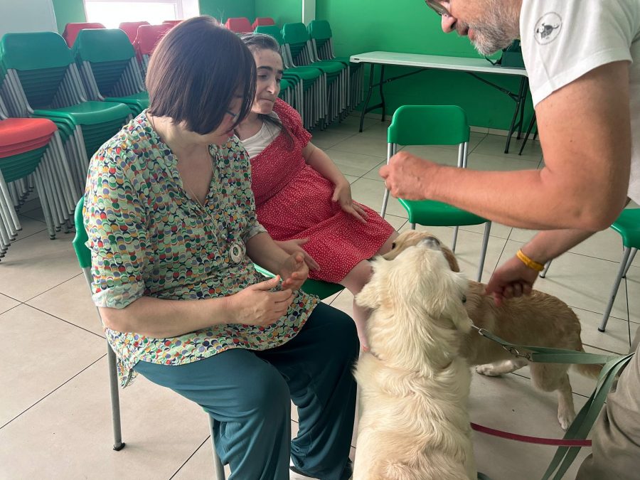 Milano – Coccole e carezze